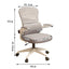 mesh executive chair ergonomic office chair with headrest kaguyasuBGY S005 detailed images 11